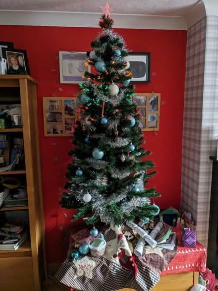 Photo of free Christmas tree (Bracknell Forest RG12) #2