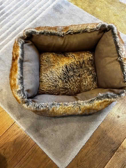 Photo of free Cosy Cat Bed (Winkfield Row SL5) #2