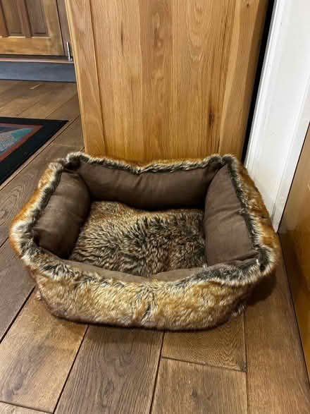 Photo of free Cosy Cat Bed (Winkfield Row SL5) #1