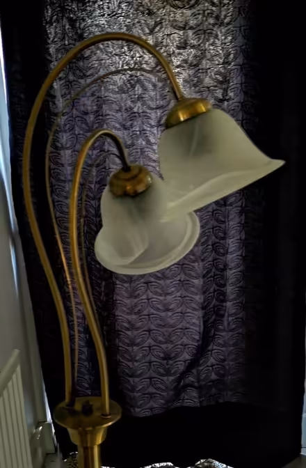Photo of free Standard Lamp (BN12) #3