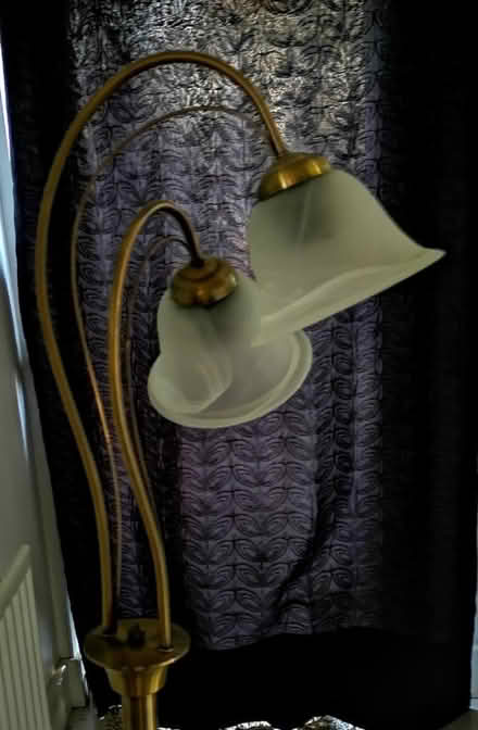 Photo of free Standard Lamp (BN12) #3