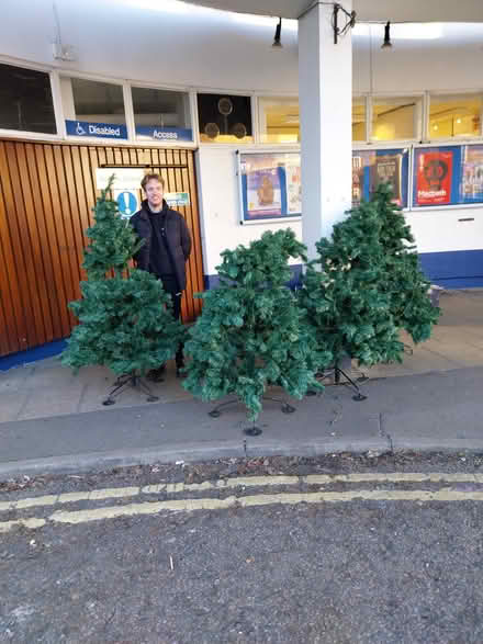 Photo of free 5 x fake Christmas trees (YA Theatre Guildford) #1