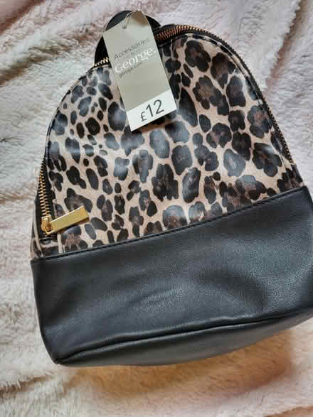 Photo of free Back pack bag (Fulwood PR2) #1