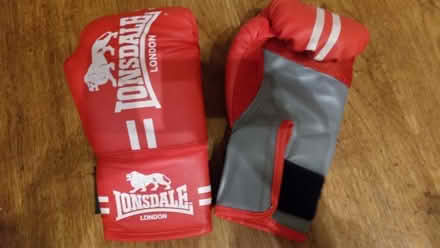 Photo of free Lonsdale junior boxing gloves (Coventry Tile Hill CV4) #1