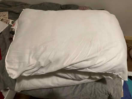 Photo of free Pillows (Church Street W2) #1