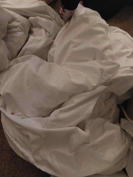 Photo of free Super king duvet (WR2 st johns) #1