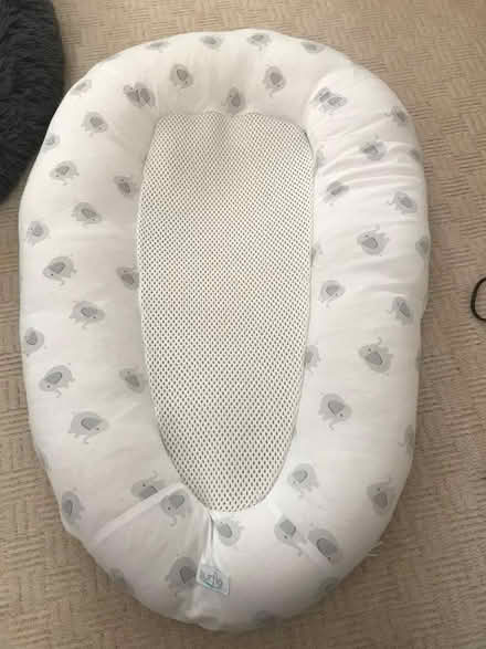 Photo of free Baby nest (Causeway End MK43) #1