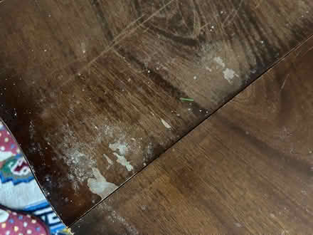 Photo of free Gate leg table (Rowledge) #4