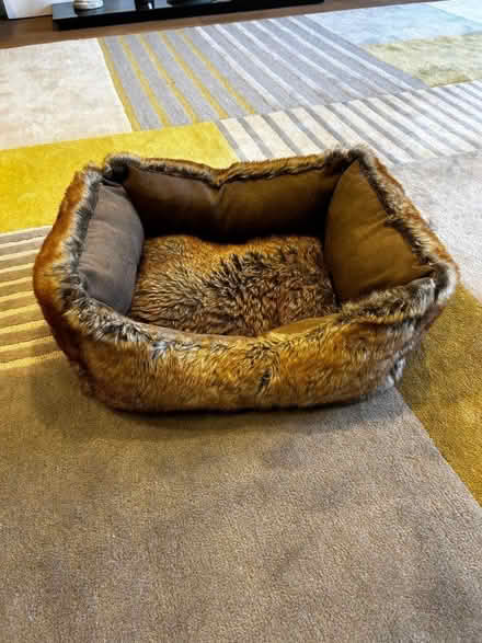 Photo of free Cosy Cat Bed (Winkfield Row SL5) #3