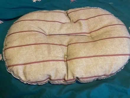 Photo of free Pet bed (Hartington Road BN2) #1