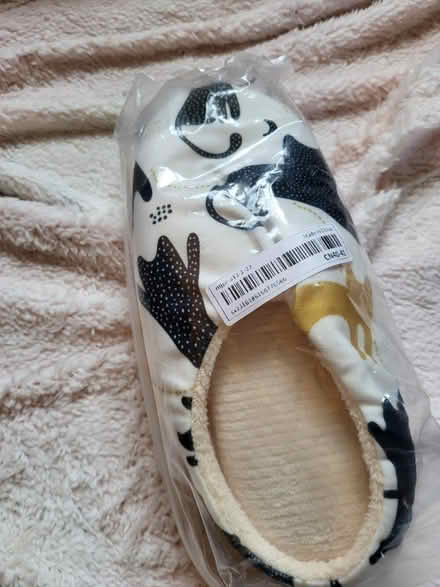 Photo of free Slippers (Fulwood PR2) #1