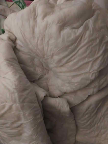 Photo of free 3 single duvets (WR2 st johns) #1