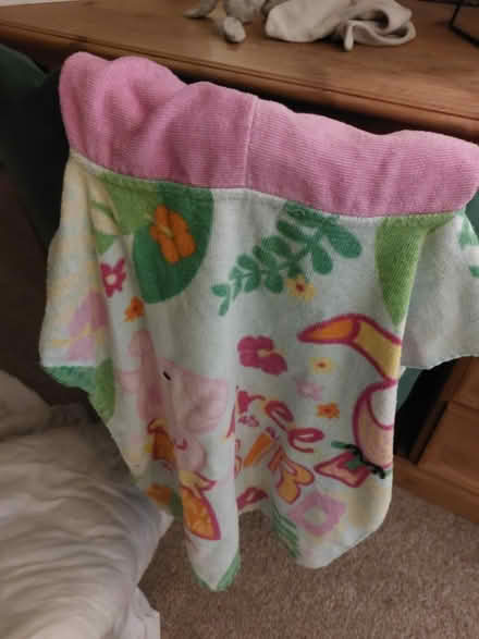 Photo of free Peppapig hooded towel (WR2 st johns) #1