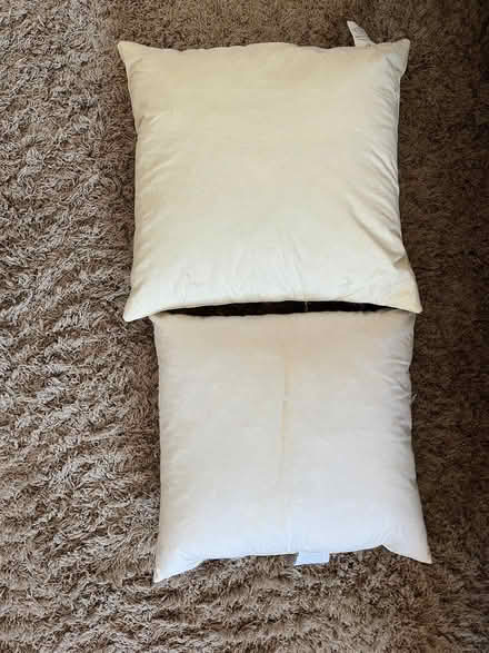 Photo of free 2 feather cushion pads (East Twerton) #1