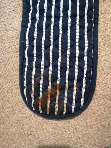 Photo of free Double Oven Glove (Maidenhead SL6) #3