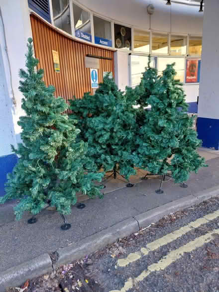 Photo of free 5 x fake Christmas trees (YA Theatre Guildford) #2