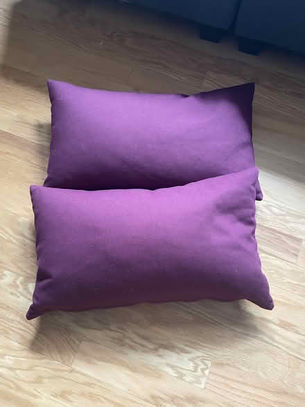 Photo of free Sofa Pillows (Falls Church | McLean) #2