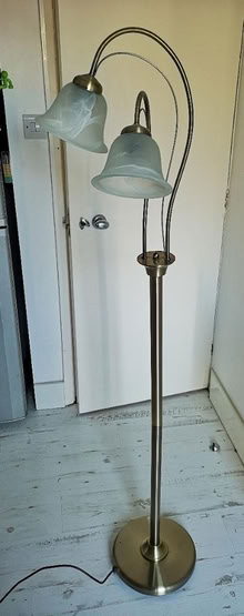 Photo of free Standard Lamp (BN12) #1