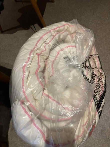 Photo of free Old duvet (Ludlow SY8) #1