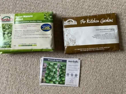 Photo of free Brussels Sprout seeds and Green Manure seeds (Wallands Park BN7) #1