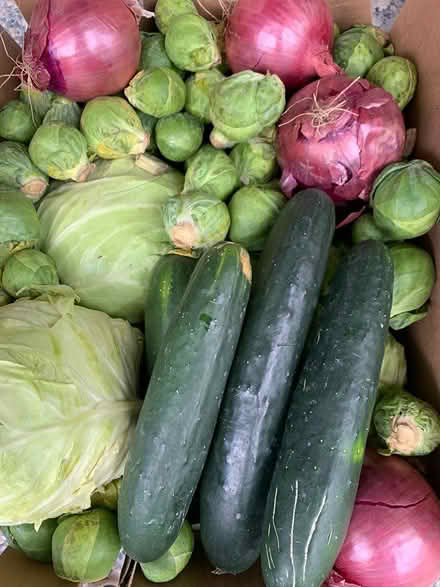Photo of free One box of fresh veggies (Los Altos) #1