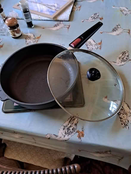 Photo of free Large heavy Woll pan with lid (Melksham forest area) #1