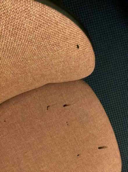 Photo of free Chair (Round Green LU3) #4