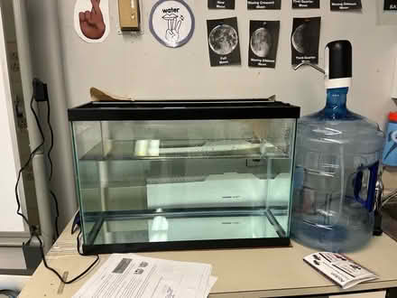 Photo of Classroom Freshwater Fish Tank (boston, ma) #1
