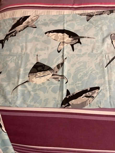 Photo of free Sharks single duvet and pillowcase (Sele Farm SG14) #1