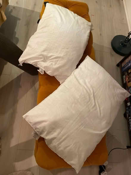 Photo of free 2 Fogarty soft touch pillows (Finsbury park) #1