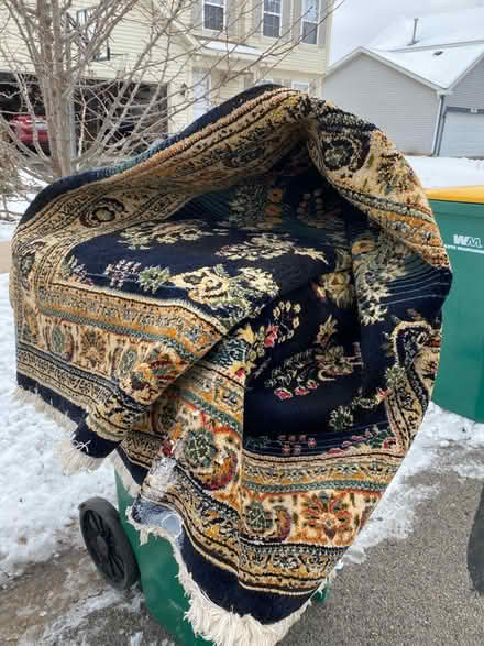 Photo of free area rug (Plainfield) #1