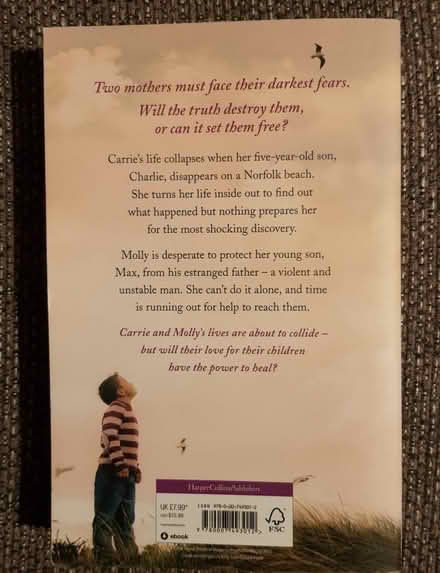 Photo of free Two Fiction Books (Handforth SK9) #2