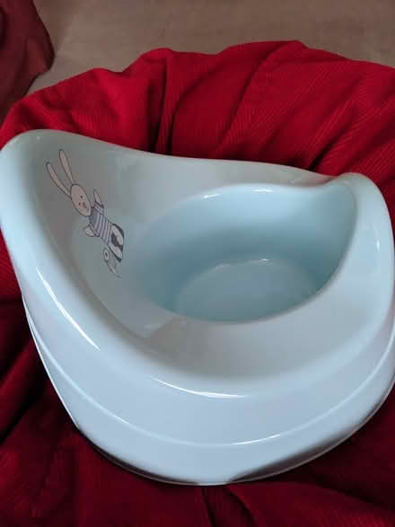 Photo of free Child Potty (Welling DA16) #1