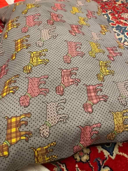 Photo of free Dog Bed (Bedford MK40) #1