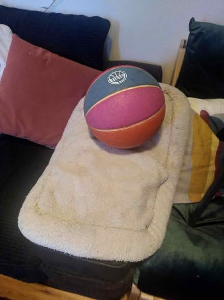 Photo of free Small/Medium dog bed (Fiveways, Brighton) #1