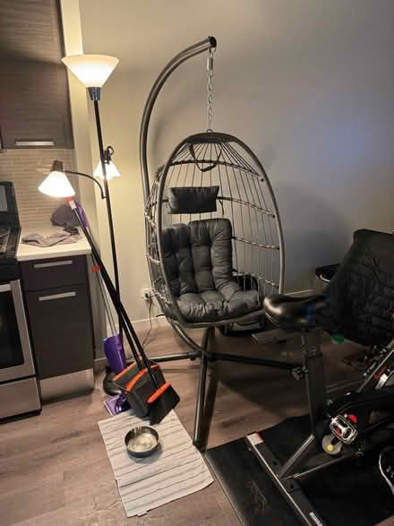 Photo of free Hanging egg chair (South loop) #1