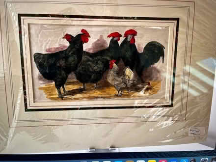 Photo of free Two hand coloured prints of poultry birds (Chalker's Corner TW9) #1