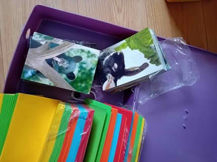 Photo of free Postcards of animals (Cubbington CV32) #1