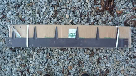 Photo of free Lawn Edge (Sidmouth) #1