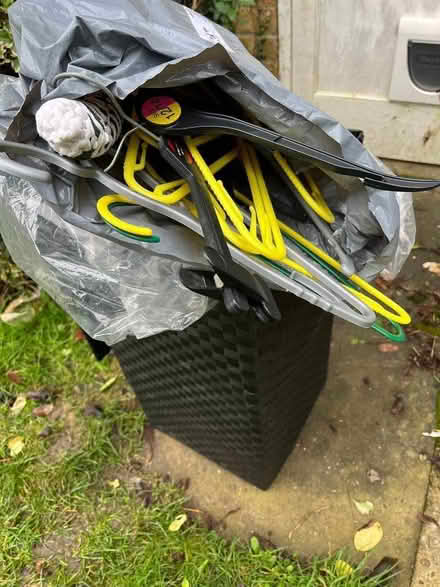 Photo of free Clothes hangers (Wivenhoe CO7) #1
