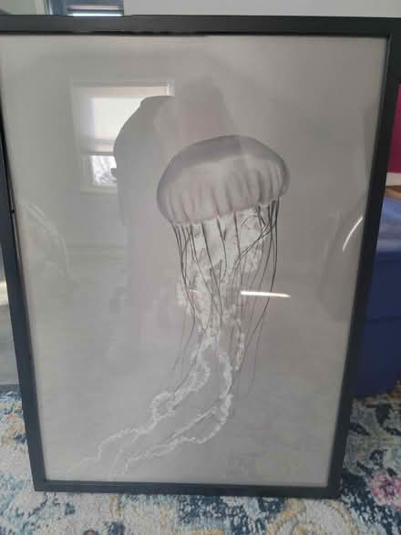 Photo of free Posters (Wilbraham, MA) #1