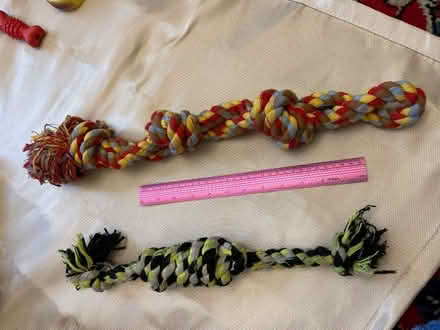 Photo of free Dog Tuggers - one medium, one large (Bedford MK40) #1