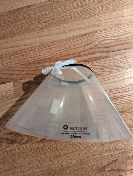 Photo of free Pet cone/collar (South Boulder) #1