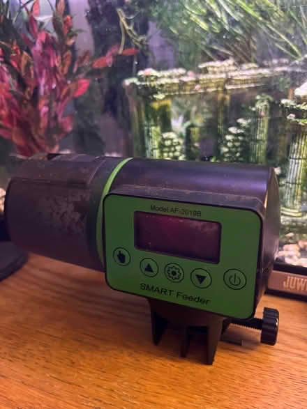 Photo of free Fish tank aquarium (WF3) #1