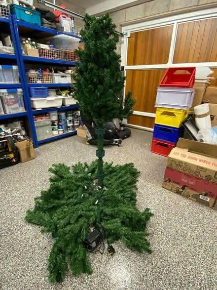Photo of free Electric Christmas tree (Walton, S42) #1