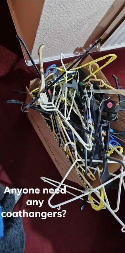 Photo of free Coat hangers (Barmston NE38) #1