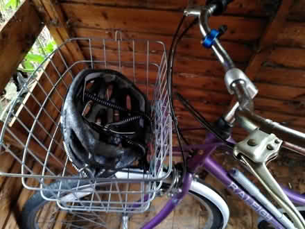 Photo of free Old Raleigh lady's bike ...old but good condition (Amber Valley DE56) #1