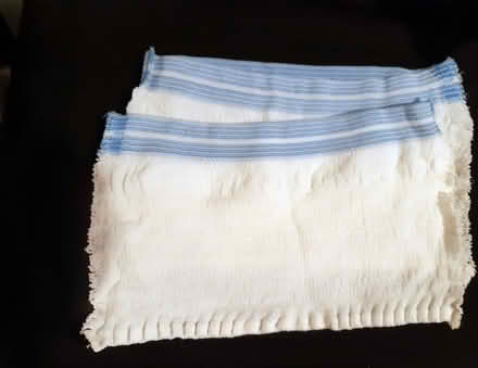 Photo of free 2 x unused Net Knickers medium (blue stripe), for inco pads (Sprowston NR3) #1