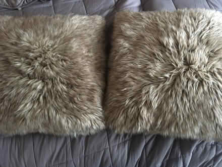 Photo of free Four large faux fur cushions (Berrylands KT5) #1