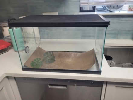 Photo of free reptile tank (Millwood) #1